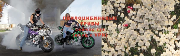 таблы Ладушкин
